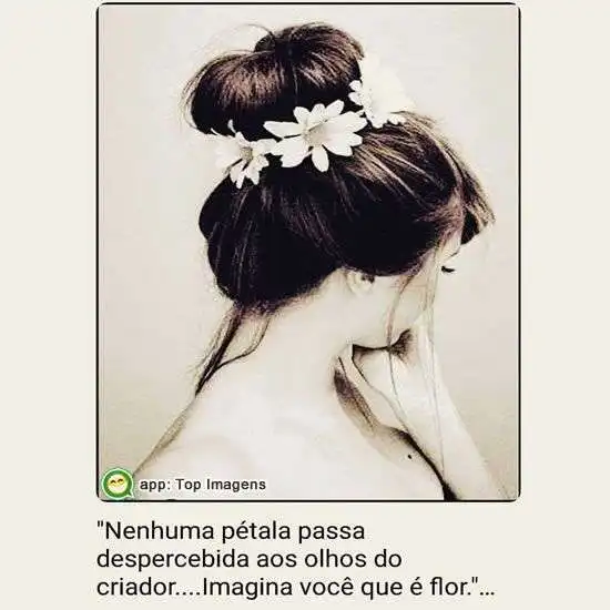 Nenhuma pétala passa despercebida 