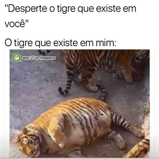 O tigre que existe em mim