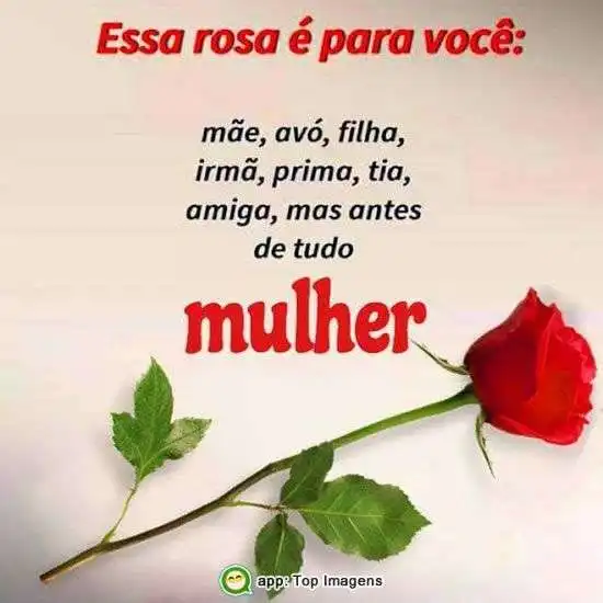 Rosa pra você