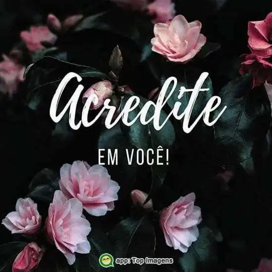 Acredite em você