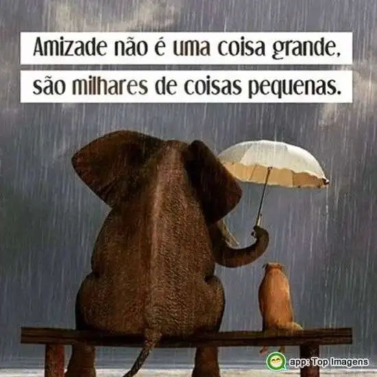 Amizade são pequenos atos