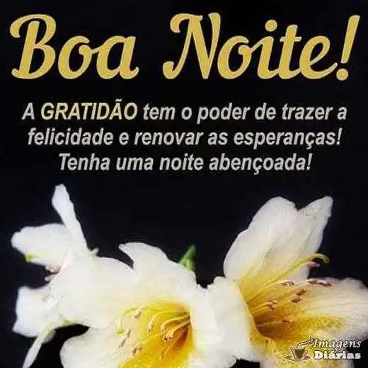 Boa noite