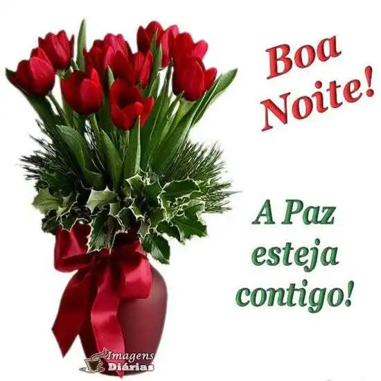 Boa noite