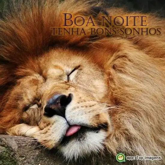 Boa noite