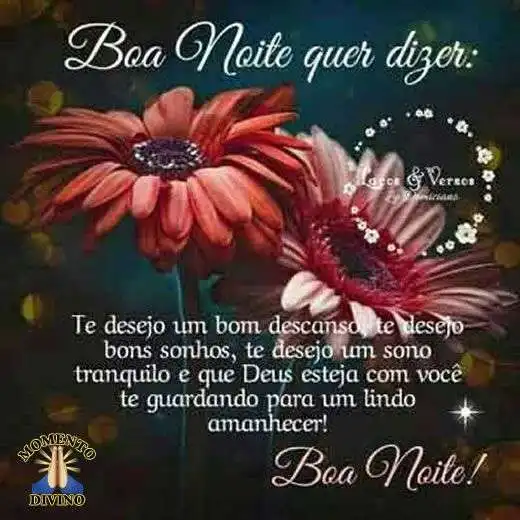 Boa noite