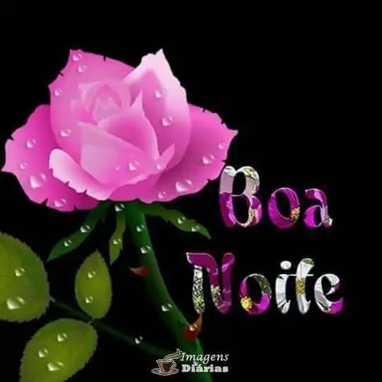 Boa noite