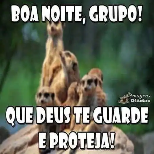 Boa noite grupo