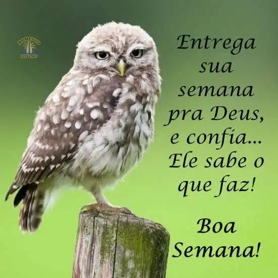 Boa semana