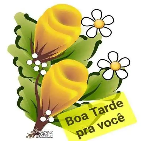 Boa tarde