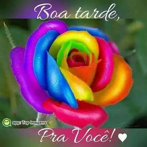Boa tarde