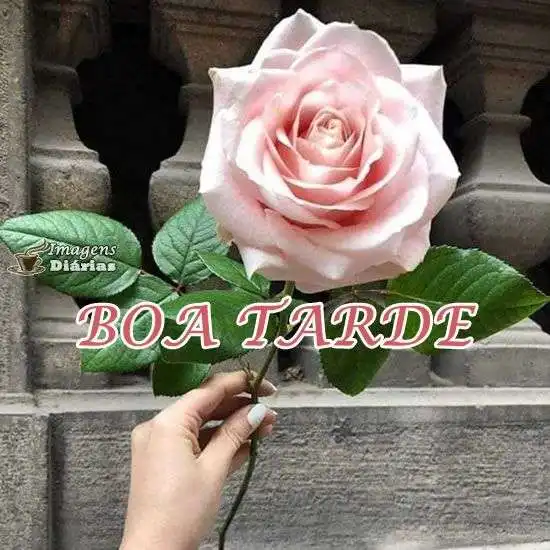 Boa tarde