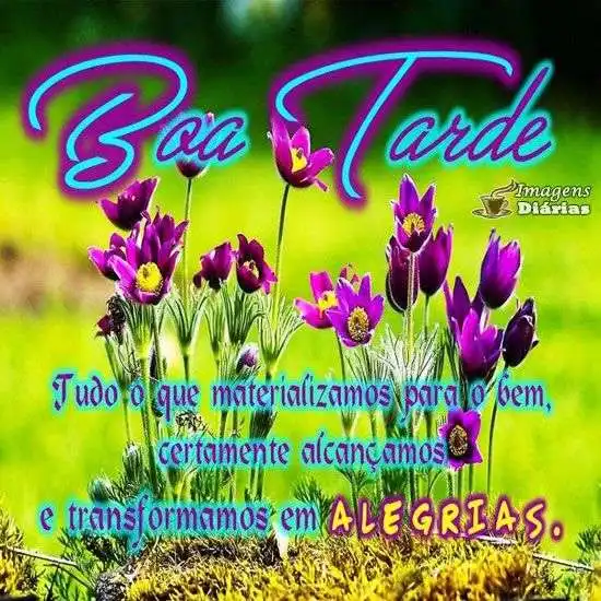 Boa tarde