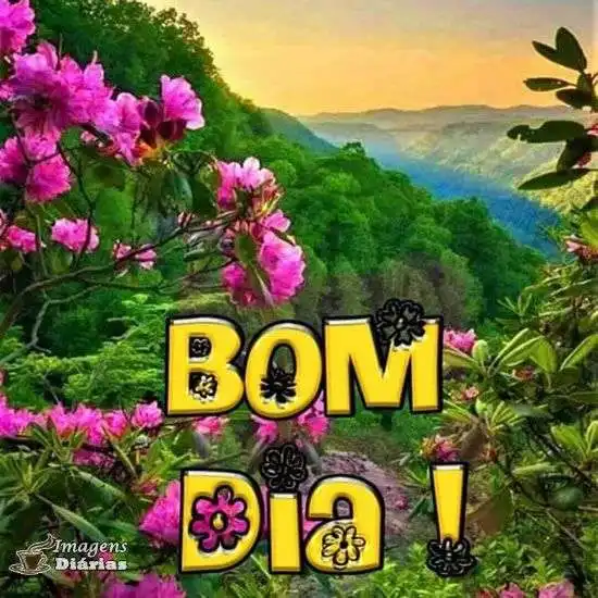 Bom dia