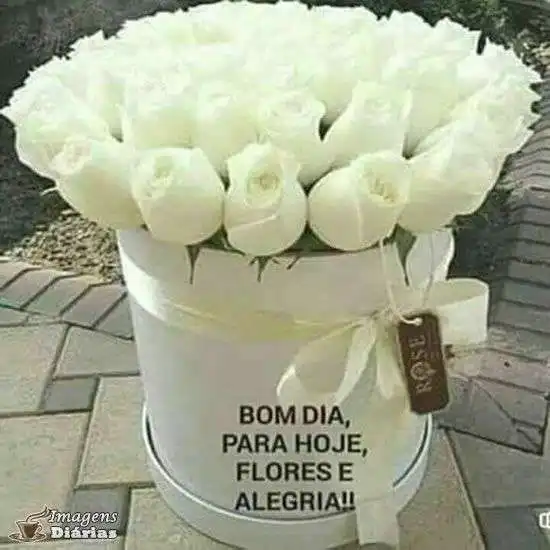 Bom dia