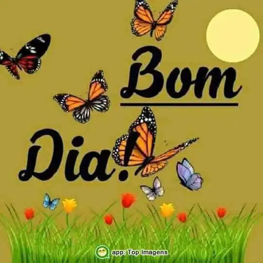 Bom dia