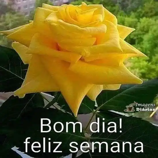 Bom dia e feliz semana