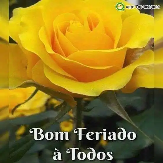 Bom feriado à todos