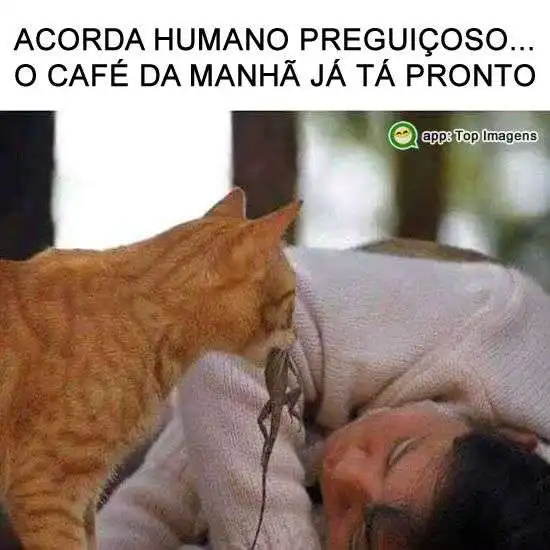 Café da manhã