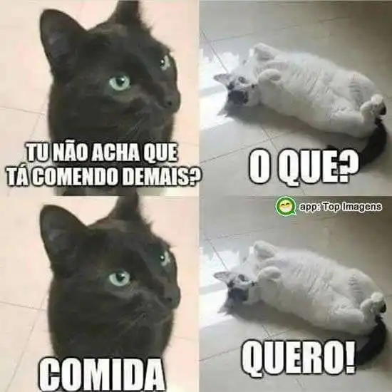 Comendo demais