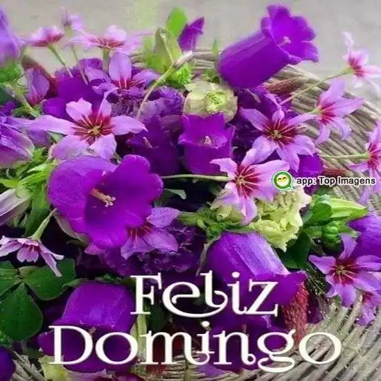 Feliz domingo
