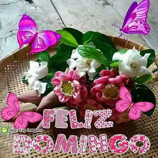 Feliz domingo