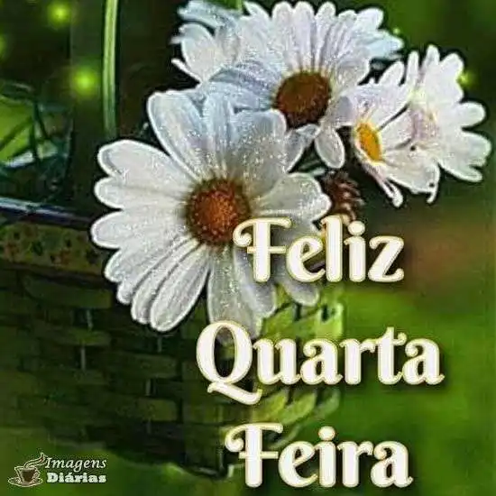Feliz quarta-feira
