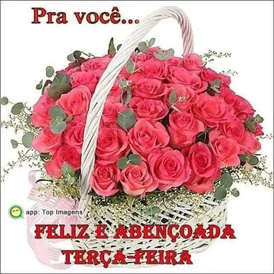 Feliz terça-feira