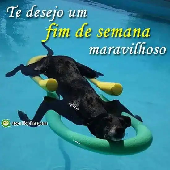 Fim de semana maravilhoso
