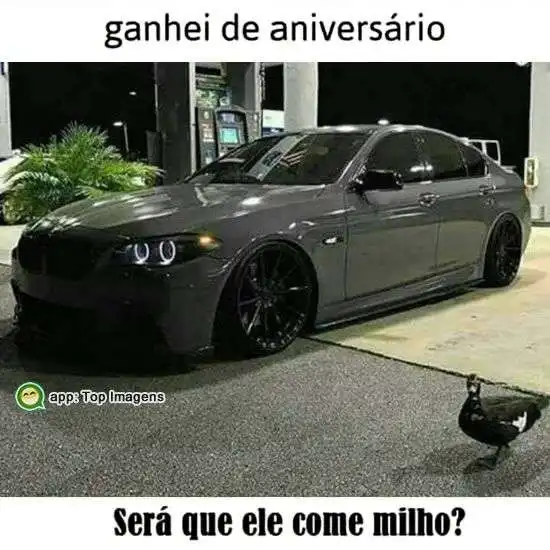 Ganhei de aniversário