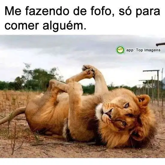 Me fazendo de fofo