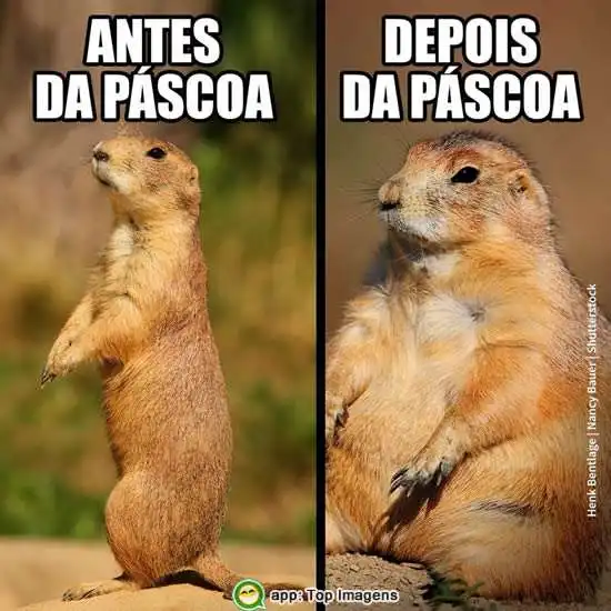 Páscoa antes e depois