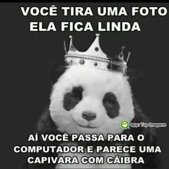 Quando tira uma foto