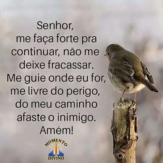 Senhor me faça forte