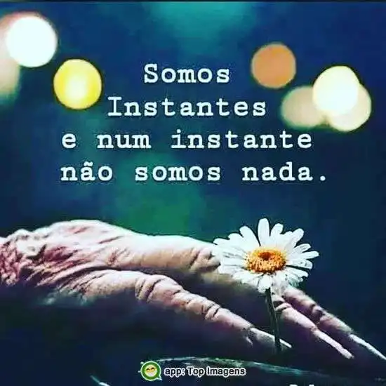 Somos instantes
