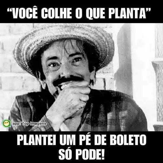 Você colhe o que planta