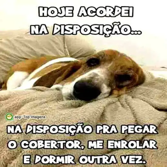 Acordei na disposição