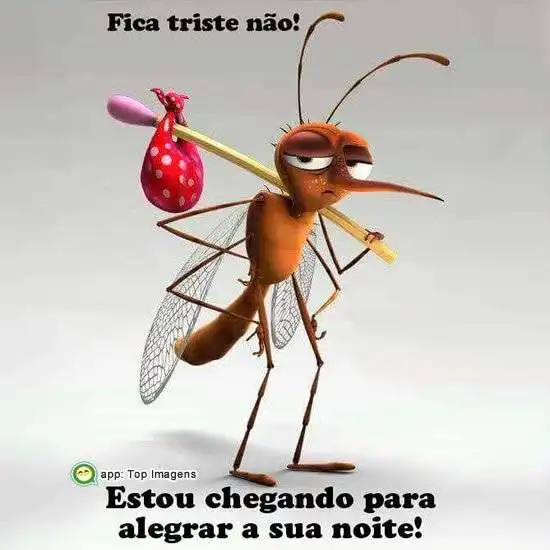 Alegrar sua noite