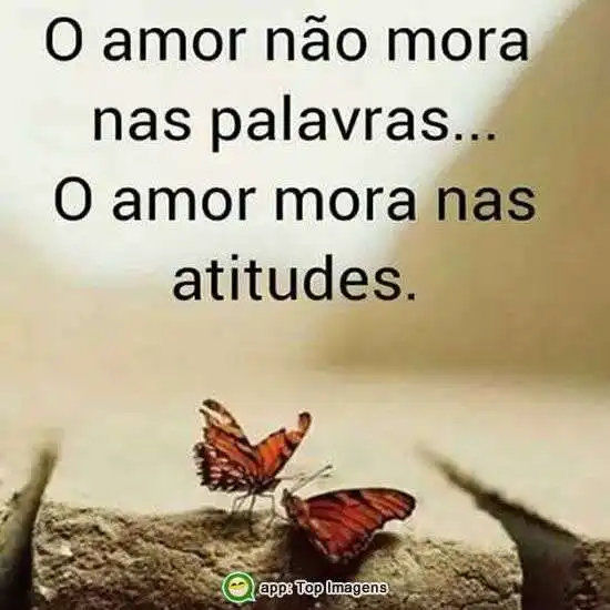 Amor e atitude