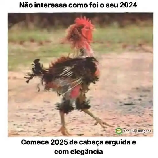 Ano novo de cabeça erguida