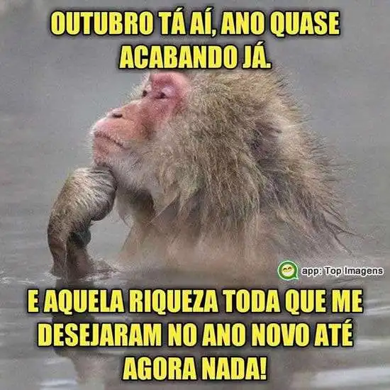 Ano quase acabando - Imagens Diárias - 17777 Ano quase acabando - Imagens Diárias - 17777