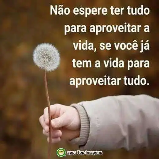 Aproveitar a vida