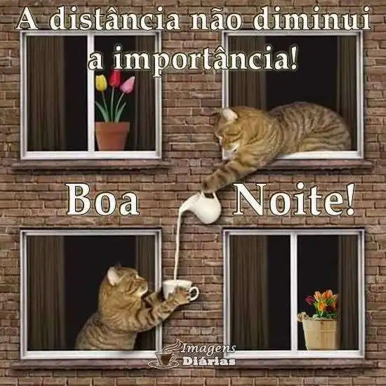 Boa noite