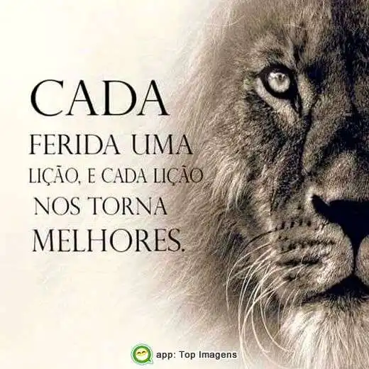 Cada ferida uma lição
