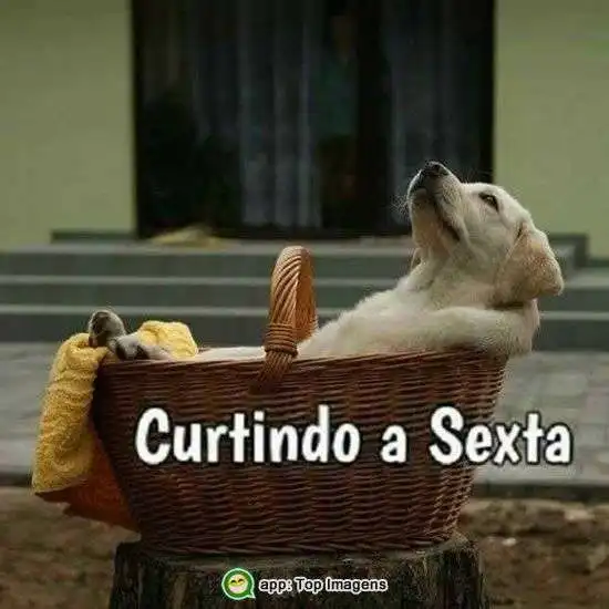 Curtindo a sexta