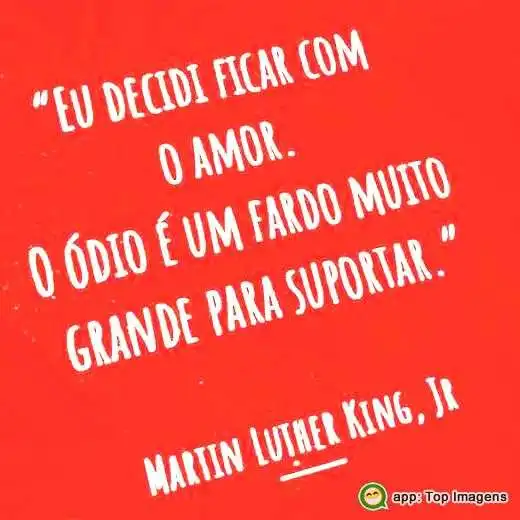 Decidi ficar com o amor