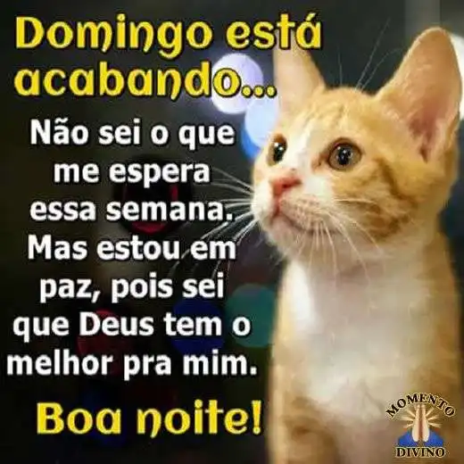 Domingo está acabando