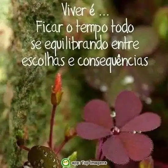 Escolhas e consequências