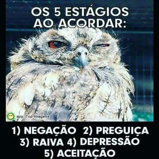 Estágios ao acordar