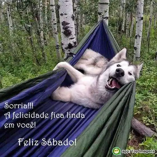 Feliz sábado