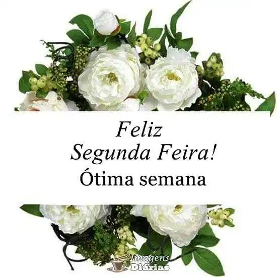 Feliz segunda-feira